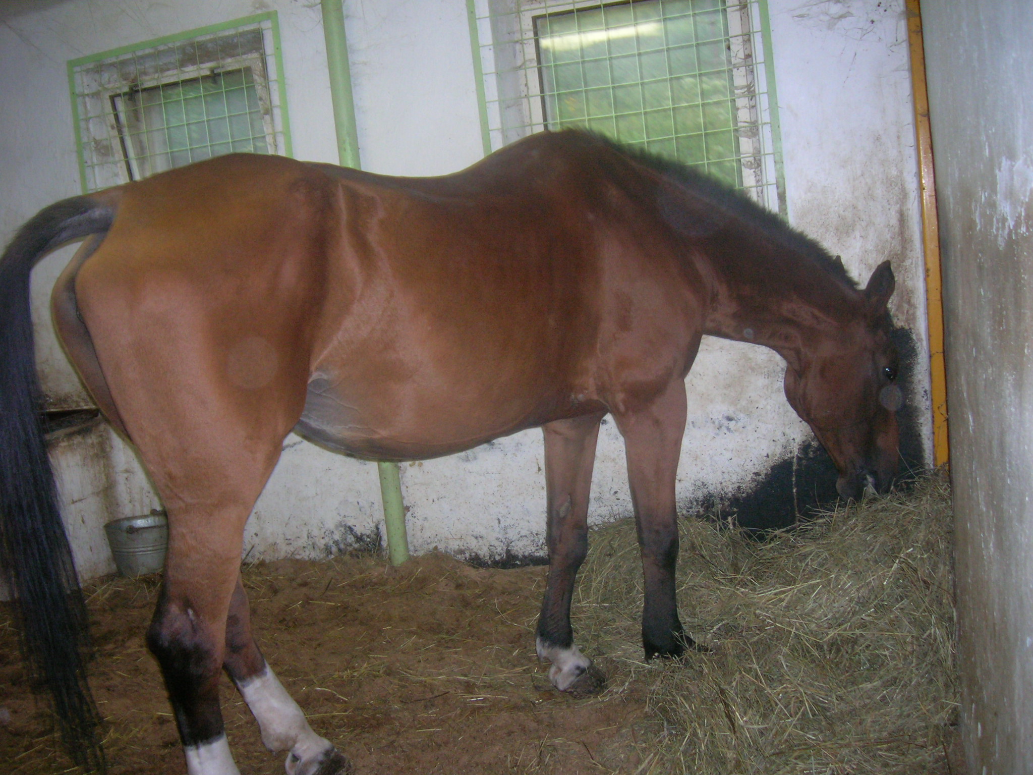 DSCN2879.JPG