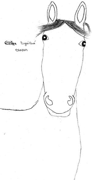 img603.jpg