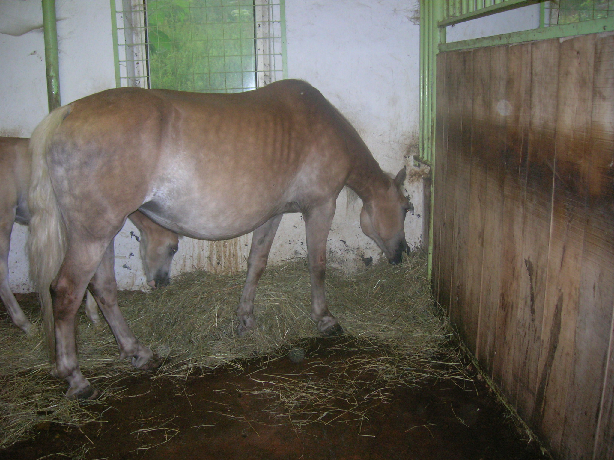 DSCN2877.JPG
